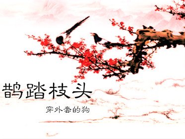 鹊踏枝头
