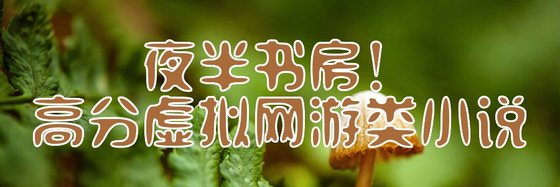 夜半书房！高分虚拟网游类小说